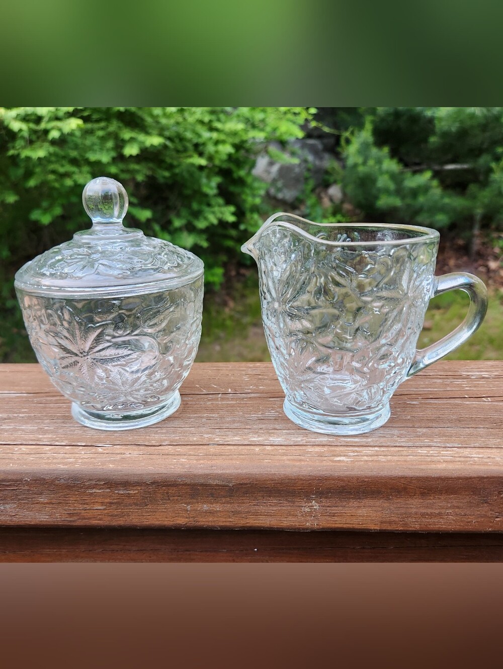 Princess House Fantasia Creamer and Lidded Sugar Bowl Set